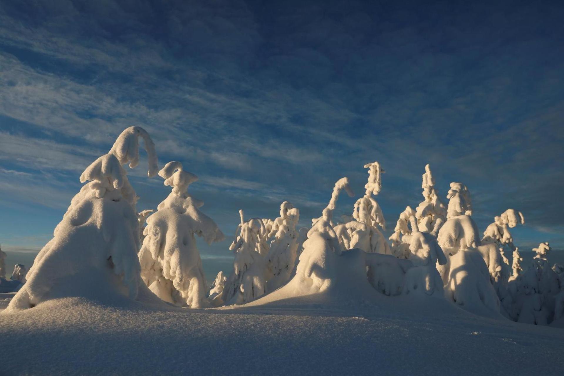 Chalet Alpinka Cerklje na Gorenjskem Buitenkant foto
