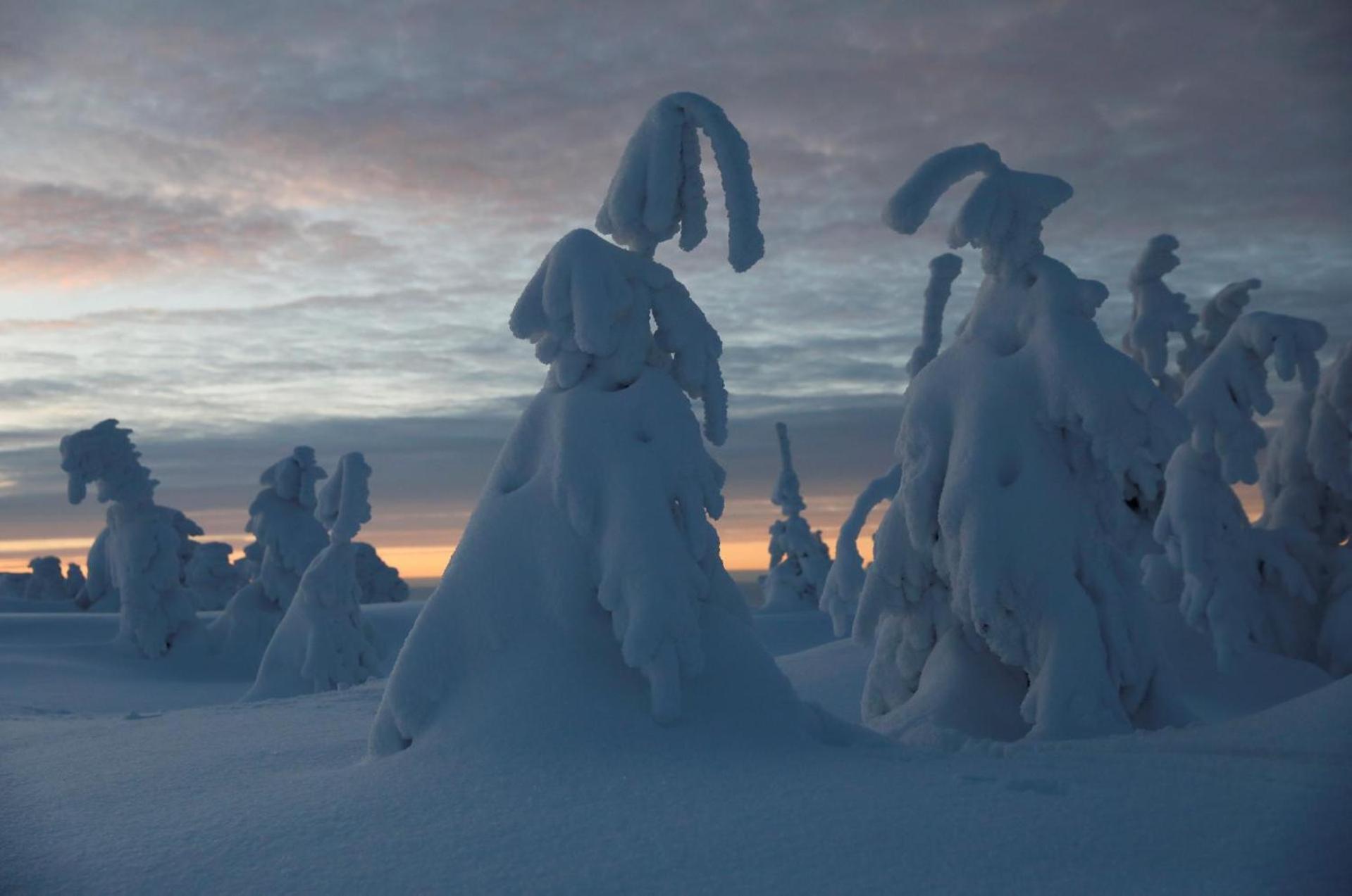 Chalet Alpinka Cerklje na Gorenjskem Buitenkant foto