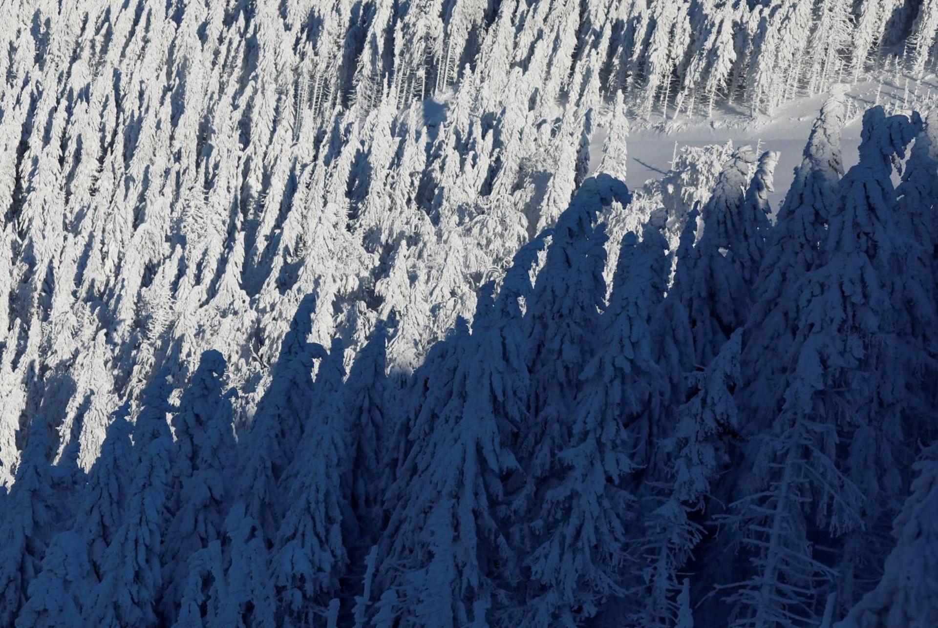 Chalet Alpinka Cerklje na Gorenjskem Buitenkant foto