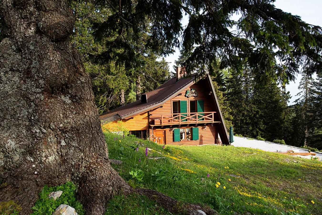 Chalet Alpinka Cerklje na Gorenjskem Buitenkant foto